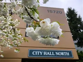 Process server and divorce paralegal services in Mill Creek Civic District neighborhood