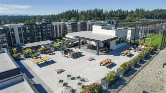 Process server and divorce paralegal services in Terrace Station Mountlake Terrace neighborhood